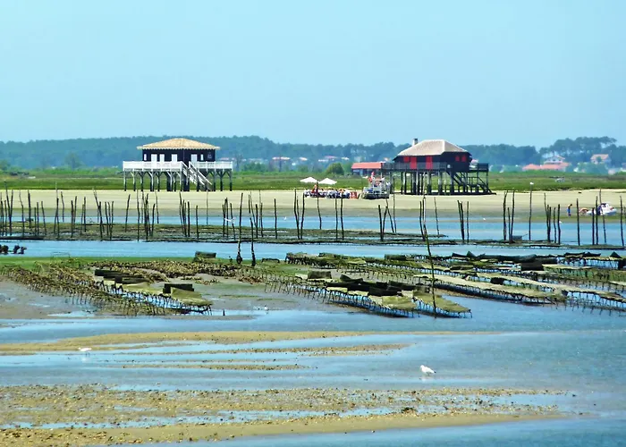 Anna-2 By Interhome * Arcachon